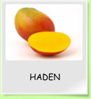 HADEN