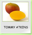 TOMMY ATKINS